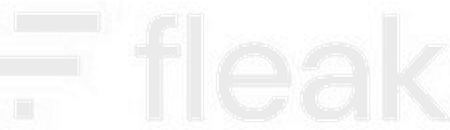 Fleak logo